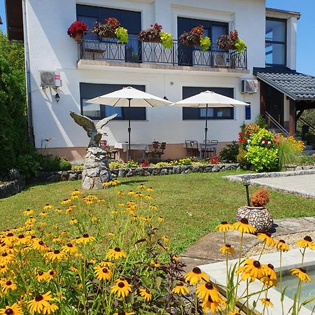Guesthouse Vila سلوني المظهر الخارجي الصورة