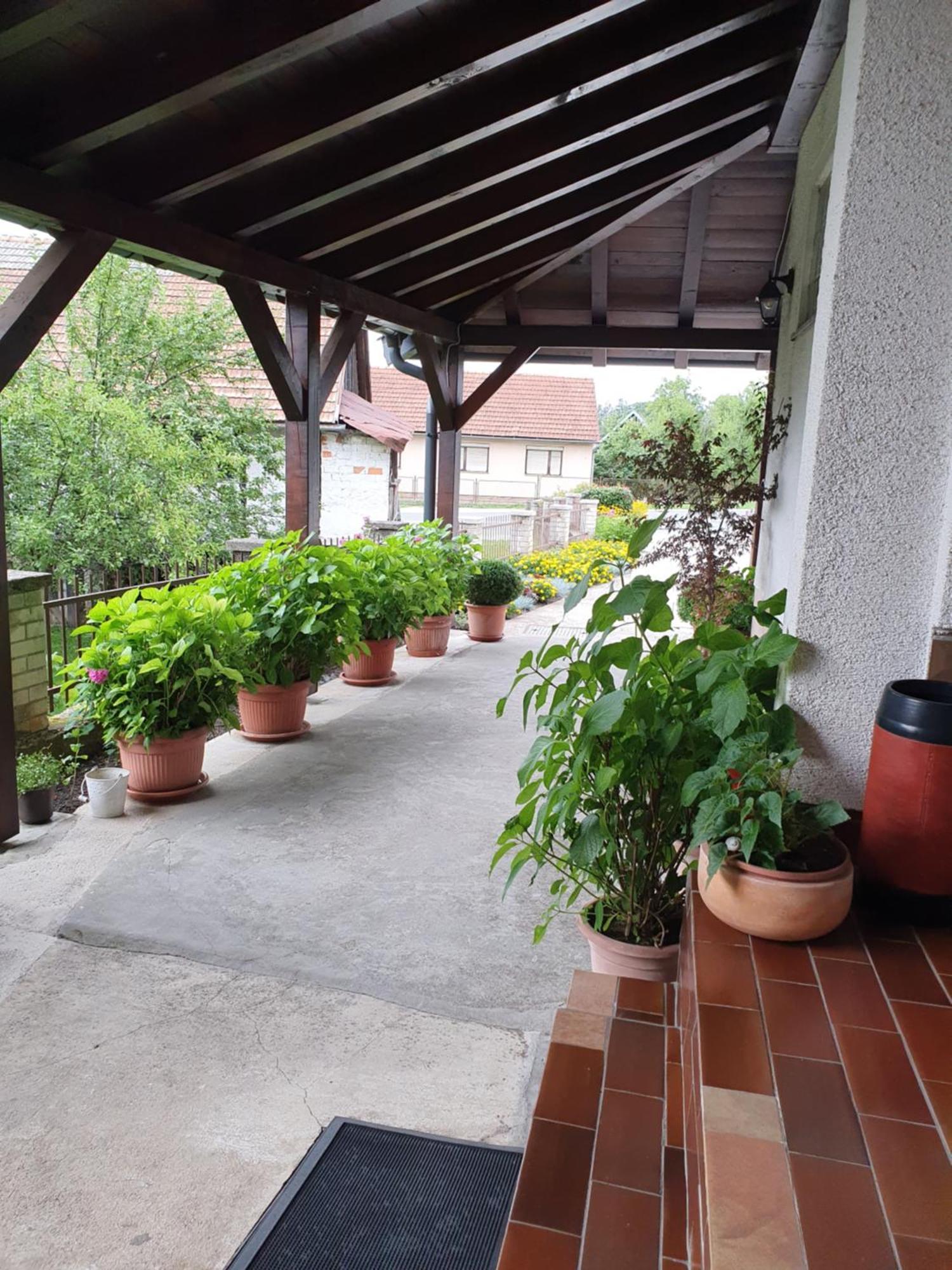 Guesthouse Vila سلوني المظهر الخارجي الصورة