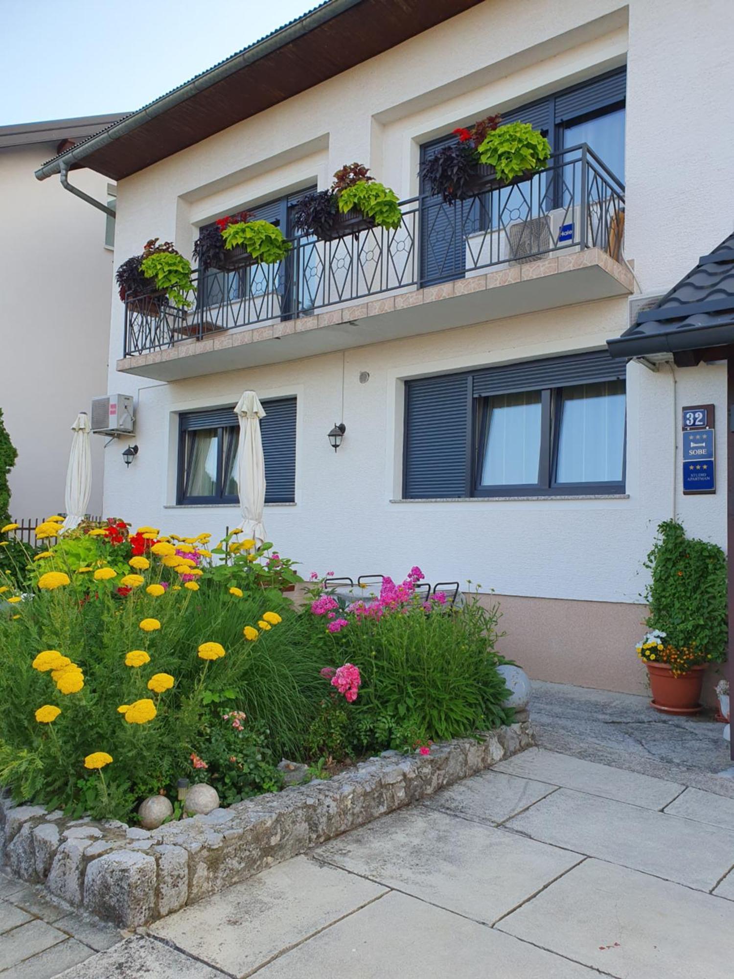Guesthouse Vila سلوني المظهر الخارجي الصورة